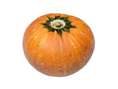 Hokkaido pompoen