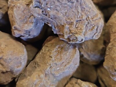 Truffels
